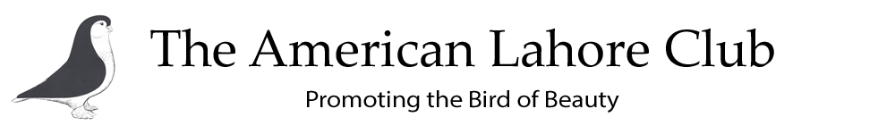 The American Lahore Club